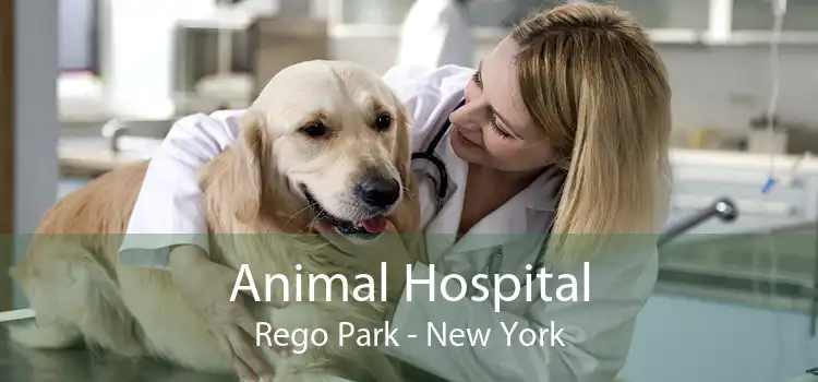 Animal Hospital Rego Park - New York