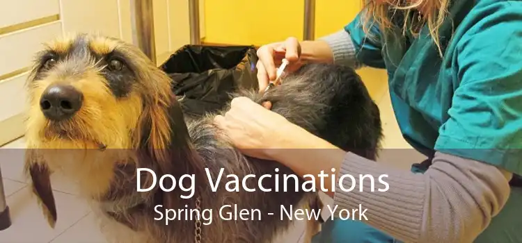 Dog Vaccinations Spring Glen - New York