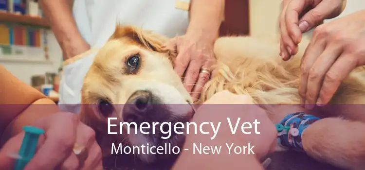 Emergency Vet Monticello - New York