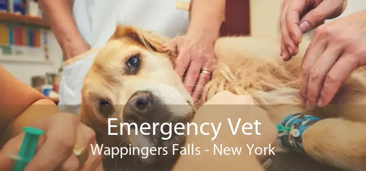 Emergency Vet Wappingers Falls - New York