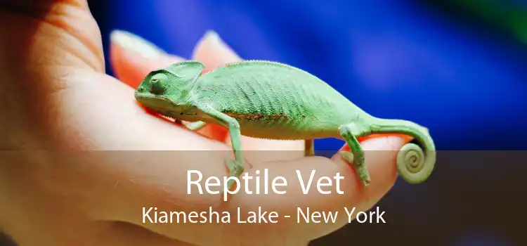 Reptile Vet Kiamesha Lake - New York