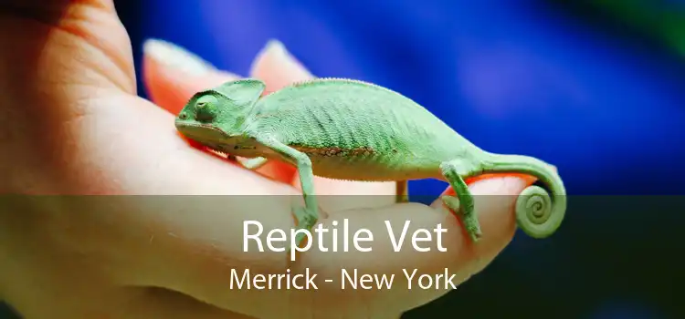 Reptile Vet Merrick - New York